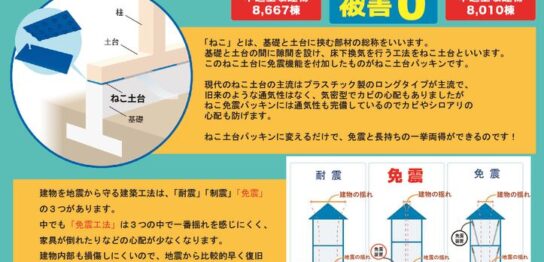 ねこ免震のサムネイル